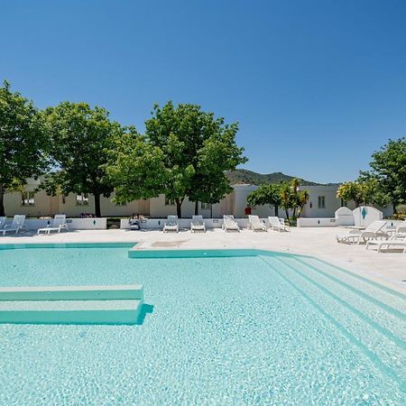 Hotel Le Mimose سان تيودورو المظهر الخارجي الصورة